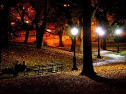 night park autumn park park night scene