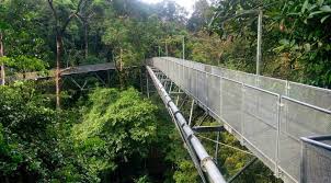 But typical of most malaysian parks, the toilet was in shambles. Encik Travel Auf Twitter Pemandangan Di The Tree Top Walk Sungai Sedim Kedah Boleh Datang Sini Jalan Jalan Untuk Tenangkan Fikiran