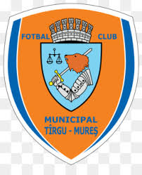 From wikimedia commons, the free media repository. Cfr Cluj Png Free Download Football Logo Football