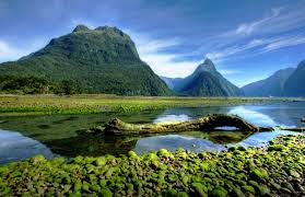 Environment most often refers to: What Is Environment