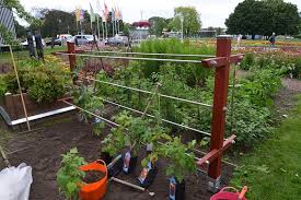 You can buy young espaliered fruit trees at most nurseries, some are even hybrids of two or three types of a single fruit (such as a combo delicious/granny smith/fuji apple, for example). Diy So Bauen Sie Ein Spalier Und Ein Himbeergerust Mdr De