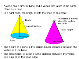 What Is Lateral Face? - Definition, Examples, Facts