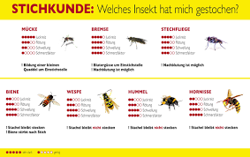 3000 erwachsene und kinder, die von einer biene oder einer wespe gestochen wurden, reagieren jährlich nach informationen der. Hausmittel Gegen Bienen Und Wespenstiche