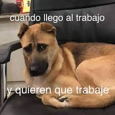 Yahaira Cortes (@YahairaCoortes)