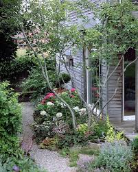 Lieblingsblick In Den Novembergarten Tradgardsinspiration Gartengestaltung Acerplatanoides Buxus Hydrangea Novemb Shade Plants Shade Garden Cottage Garden
