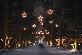 In seiner heimatstadt berlin wurde er fündig. Christmas Garden Berlin 2019 Event News Berlin
