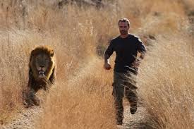 Kevin Richardson the lion whisper - Beauty will save via Relatably.com