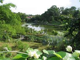 Singapore Botanical Gardens Gardens Of The World Singapore Botanic Gardens Beautiful Gardens Of The World