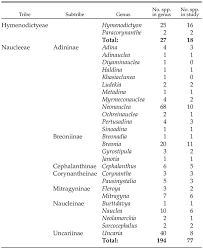 Image result for Burttdavya