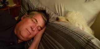 Crochet and Snoring Humor in Fiber Arts