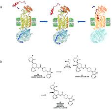 Image result for Gepant