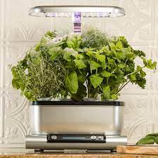 What to do if you start to see fungus or mold growing around the bottom of your plants on your aerogarden, march 6, 2020. Aerogarden Harvest Review Easy To Use Indoor Herb Vegetable Planter