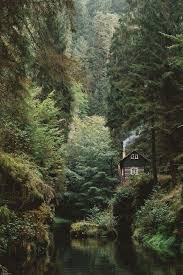 Take Me Away Where Its Quiet All Day Hear The Life Of The Woods Come To Visit My Way They Watch And Wait F The Great Outdoors Outdoor Cabins In The
