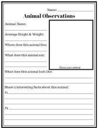 Animal Observation Worksheet Zoo Worksheet Aquarium Worksheet Farm Worksheet Animal Research Animal Report Animal Fa 6th Grade Worksheets Zoo Observation