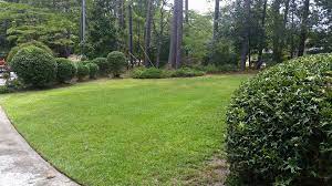 Call today to get your free trugreen® quote! Trimline Lawn Services Home Facebook