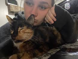 Midland County dog with puppies