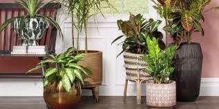 A wide variety of indoor plant troughs options are available to you, such as floor, desktop, and home. 20 Best Indoor Planters Stylish Indoor Plant Pots