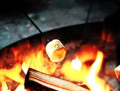 If the river rock get's hot enough it will explode. Best Rocks For Inside Your Fire Pit 16 Expert Tips Rst Brands