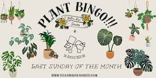 Plant Bingo at Dr Jeckylls Beer Lab!