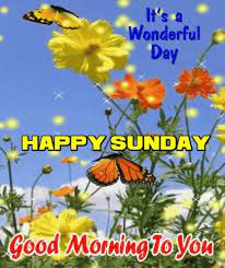 Watch the latest news videos and the top news video clips online at abc news. 360 Sunday Ideas In 2021 Happy Sunday Quotes Sunday Greetings Sunday