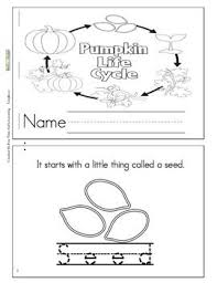 Pumpkin Life Cycle Booklet Pumpkin Life Cycle Fall Kindergarten Pumpkins Kindergarten