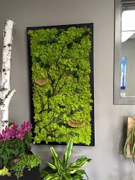 We did not find results for: Fabulous Custom Made Moss Wall With Branches And Natural Elements Mosswall Instagram Greenerycalgary Moss Wall Art Plant Wall Moss Wall