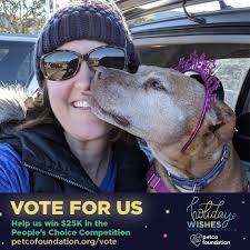 Ginger is in currently 3rd place