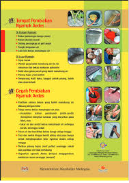 Berikut adalah infografik berkenaan dengan wabak denggi. Bagaimana Demam Denggi Boleh Berjangkit Sars Outlet