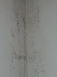 We did not find results for: What Can Be Done With Walls That Are Wet And Moldy Home Improvement Stack Exchange