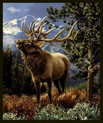 Mountain Elk Quilt Panel One Of A Kind Windham Elk Fabric Etsy Wildlife Paintings Wildlife Deer Painting
