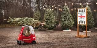 Oregon city, or 97045 (hillendale area). 50 Best Christmas Tree Farms In America Christmas Tree Farms Near Me