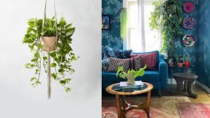See more ideas about hanging plants, decor, hanging planters. 20 Beautiful Hanging Planters That Will Make You Want To Live In A Jungalow Cbc Life