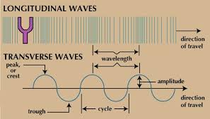 Furthermore, the characterization of longitudinal waves is by wave motion being parallel to particle motion. Longitudinal Vs Transverse Waves Physics Experiments Life Hacks For School Physical Science