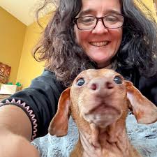 What are some hunting tips and locations near Whitefish Point and Brimley?