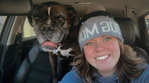 Daylight Savings Time begins this weekend, March 14th and will be here  before you know it. Prepare your furbabies early to help them to adjust to  the time change more smoothly |