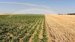 26 000 En Moyenne Pour Un Hectare De Terrain Agricole En 2018 Grace A Ces Estimations Nous Pourrons Mieux Accompagner L Avenir De Notre Agriculture Rtl Info