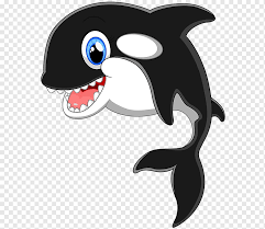 Black and white whale cartoon. Cartoon Killer Whale Black Dolphin Marine Mammal Mammal Animals Png Pngwing