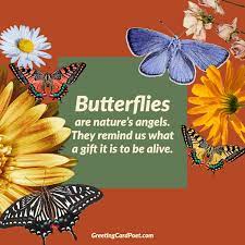 157 Butterfly Quotes Sayings And Instagram Captions To Enchant You