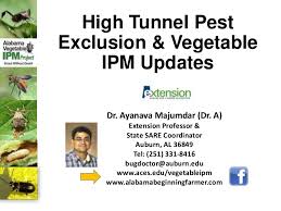 By eliminating conditions that attract rodents and insects, you can stop infestations before they even happen. High Tunnel Pest Exclusion System Updates Vegetable Ipm