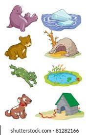 Habitat , habitat logo transparent background png clipart. Vector Illustration Animals Habitat Cartoon Concept Stock Vector Royalty Free 81282166