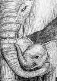 Earrings, bracelets and brooch pins are. Elephant Mother And Baby Pencil Sketch By Sangeeta1995 On Deviantart