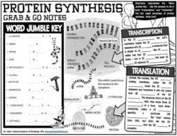 Grab And Go Notes Protein Synthesis Protein Synthesis Biology Classroom Teaching Biology