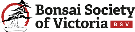 Bonsai trees and associated plants. Blog Bonsai Society Of Victoria