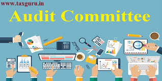 Audit Committee Under Companies Act 2013 Sebi Lodr 2015