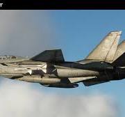 DCS: F-14 Tomcat