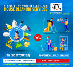 Checking if a company is properly licensed and staff a trained entomologist are great steps to decide if hiring a pest control company is the best option or if you can handle it yourself with diy solutions. Diy Vs Professional House Cleaning Which Ones Better Blog Nakodadcs Com