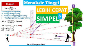 Melakukan kegiatan penghijauan di lingkungannya atau didaerah lainnya. Cara Menaksir Tinggi Pohon Paling Mudah How To Estimate The Most Easy Trees Youtube