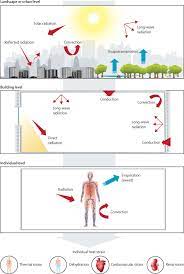Sedgefield news, crime, education, health, council, elections from thorpe larches, fishburn, bishop middleham, bradbury, wynyard, mordon, trimdon. Reducing The Health Effects Of Hot Weather And Heat Extremes From Personal Cooling Strategies To Green Cities The Lancet
