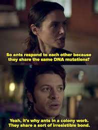 Netflix's "The One" Episode One Explained In Full