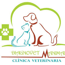 VETERINARIA DOGTOVET